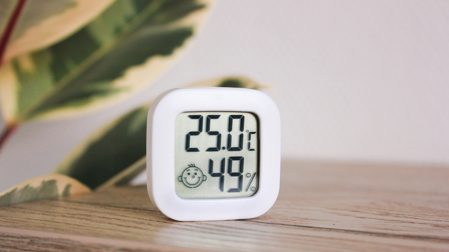 Why Should I Buy a Humidifier? RW Supply + Design